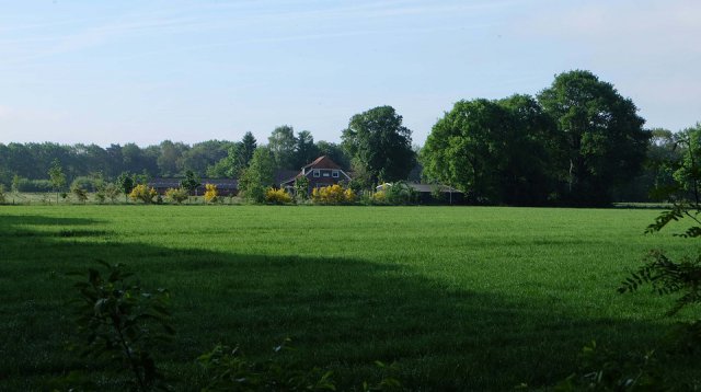 Dauwtrappen (donderdag 25 mei 2017)